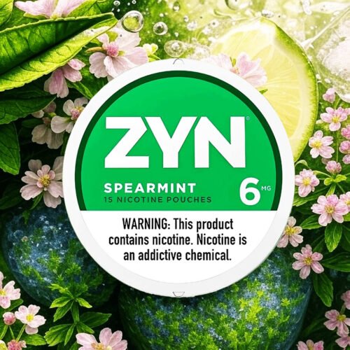 ZYN SPEARMINT BLACKHOOTERS ZYN SPEARMINT BLACKHOOTERS